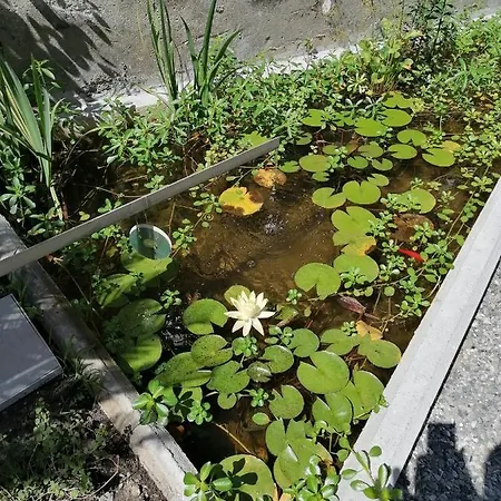 Il Giardino Di Elettra - Freeparking 2* Gênes